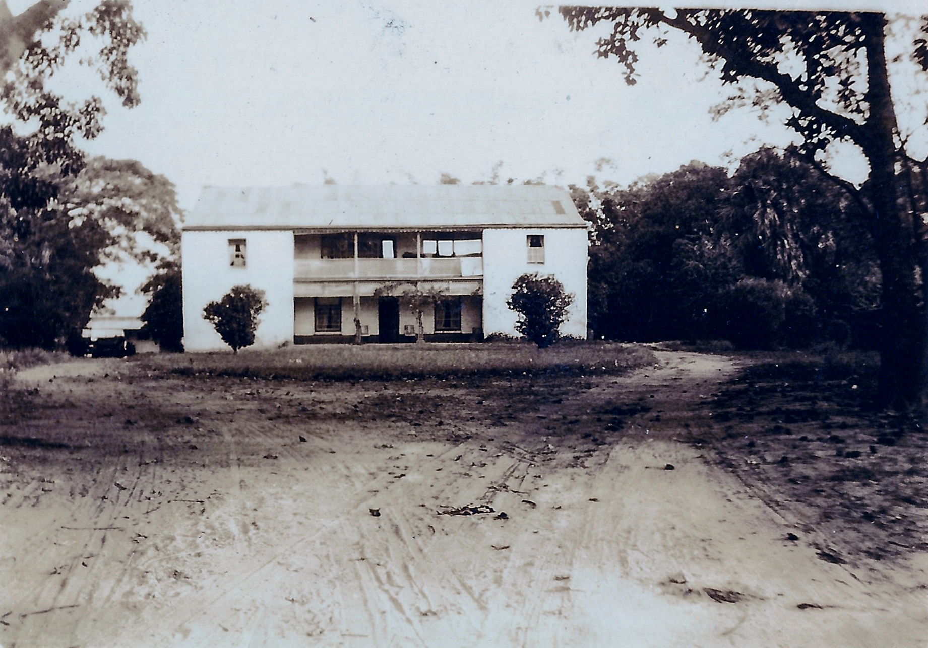 Preston from Driveway